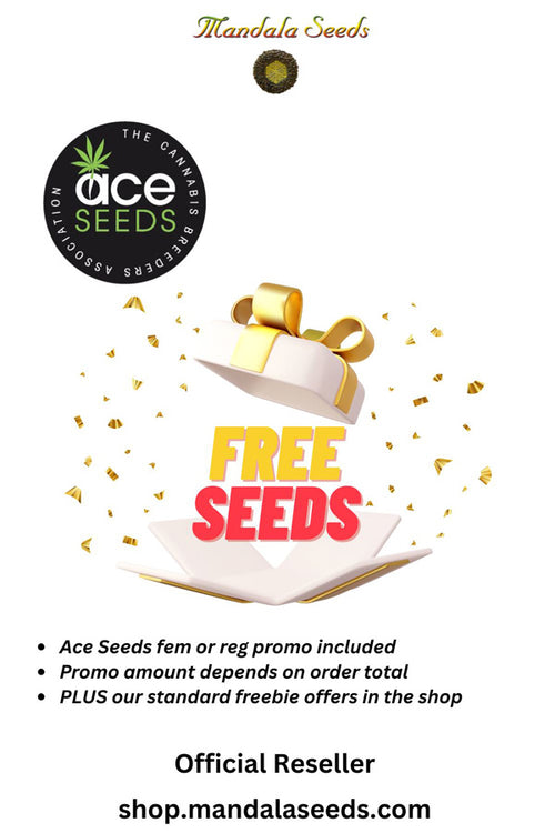 Ace Seeds Free Promo