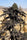 Afghan Maruf Black