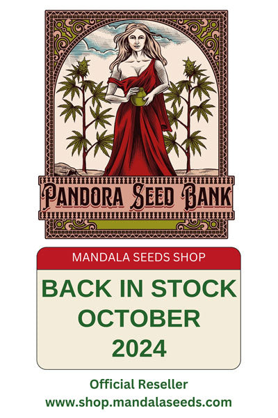 shop.mandalaseeds.com