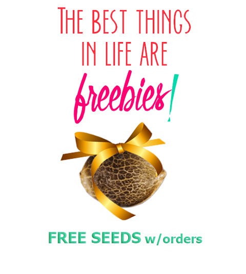 files/Banner-Image-Sidebar-Freebies_fbcf70f7-6617-4deb-a42f-5a41cf725eea.jpg