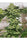 Beyond the Brain - Mandala Seeds Shop Mandala Seeds