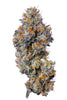 Blue Gelato