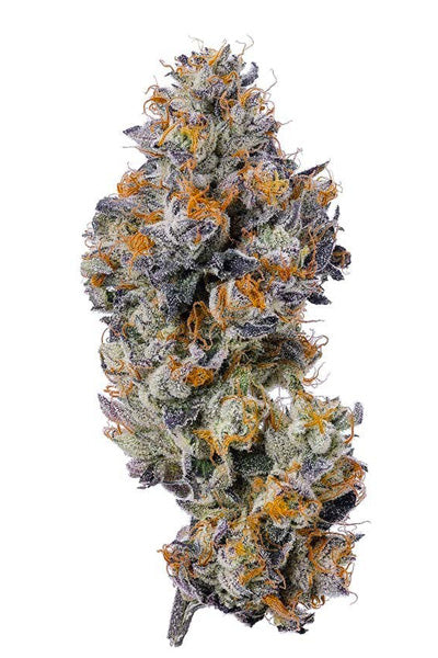 Blue Gelato