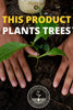 California Dream - Mandala Seeds Shop Mandala Seeds