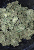 Dutch Kush