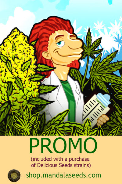 Expert Seeds Promo