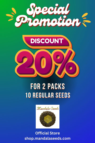 Flashberry (2x10 regular seeds)