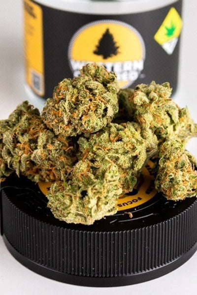 Seatown Lemon Haze