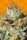 Wedding Cookies