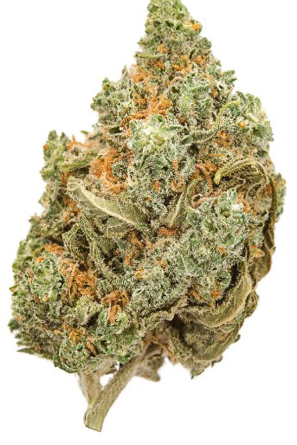 Auto Amnesia - Mandala Seeds Shop Cheap Feminized Seeds