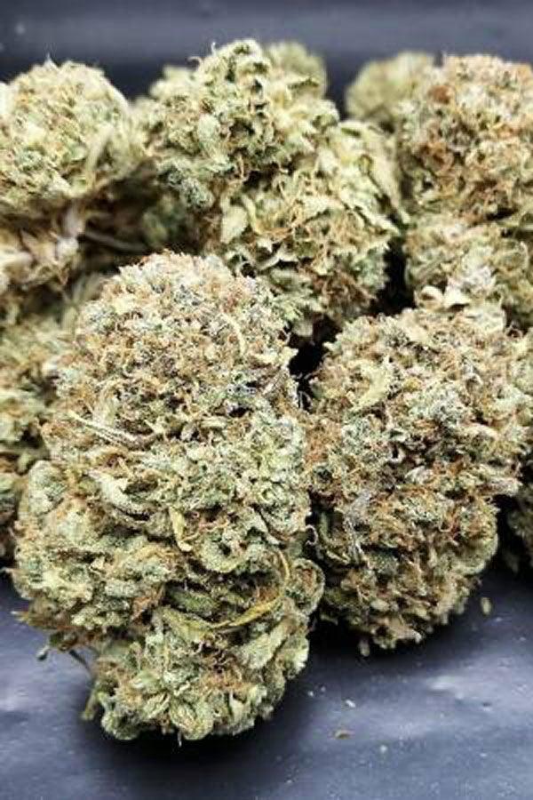 Auto Bubble Gum - Mandala Seeds Shop Cheap Feminized Seeds