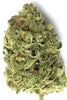 Auto Gorilla - Mandala Seeds Shop Cheap Feminized Seeds