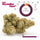 Auto Skywalker Haze - Mandala Seeds Shop Dutch Passion