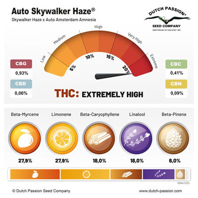 Auto Skywalker Haze - Mandala Seeds Shop Dutch Passion