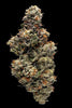 Bakers Delight - Mandala Seeds Shop DNA Genetics