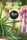 Bangi Congo x Zamaldelica F2 - Mandala Seeds Shop Ace Seeds RD