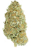 Big Bud Fast Version - Mandala Seeds Shop Cheap Feminized Seeds