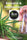 CBD#1 x BX2 - Mandala Seeds Shop Ace Seeds RD