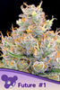 Future #1 - Mandala Seeds Shop Anesia