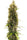 Golden Tiger 3.0 (Limited Edition) - Mandala Seeds Shop Ace Seeds