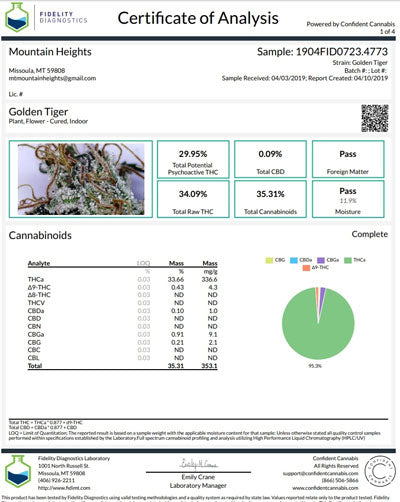 Golden Tiger - Mandala Seeds Shop Ace Seeds