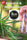 Golden Tiger x A5 Haze - Mandala Seeds Shop Ace Seeds RD