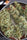 Hawaii Maui Waui - Mandala Seeds Shop Nirvana