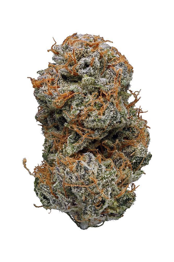 Jesus OG - Mandala Seeds Shop Subcool