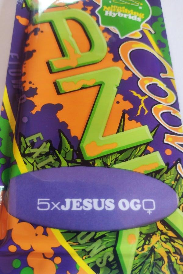 Jesus OG - Mandala Seeds Shop Subcool