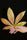 Limon Blanco V3 - Mandala Seeds Shop Khalifa Genetics