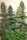 Malawi x PCK - Mandala Seeds Shop Ace Seeds