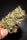 Moroccan Beldia - Mandala Seeds Shop Khalifa Genetics