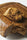 Moroccan Beldia - Mandala Seeds Shop Khalifa Genetics