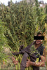 Moroccan Beldia - Mandala Seeds Shop Khalifa Genetics
