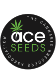 Nepal Annapurna - Mandala Seeds Shop Ace Seeds