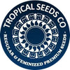 Old Afghan NLD - Mandala Seeds Shop Tropical Seed Co