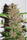 Pakistan Chitral Kush - Mandala Seeds Shop Ace Seeds