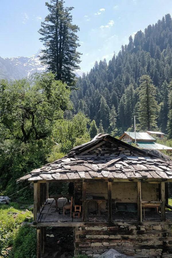 Rasol Village - Mandala Seeds Shop Khalifa Genetics