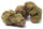 Sensi Star - Mandala Seeds Shop Paradise Seeds