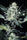Sensi Star - Mandala Seeds Shop Paradise Seeds