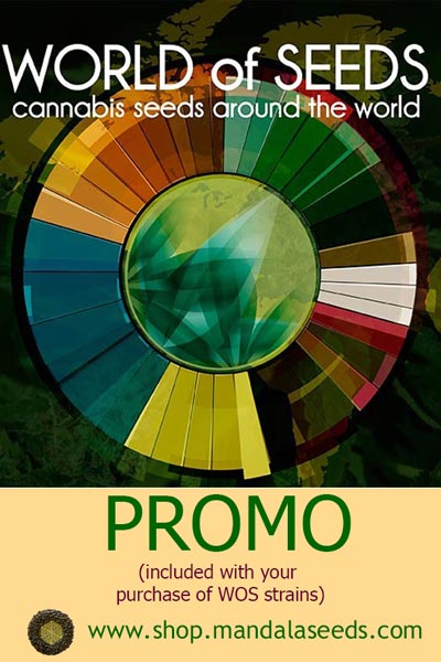 World of Seeds Promo - Mandala Seeds Shop Mandala Seeds Shop