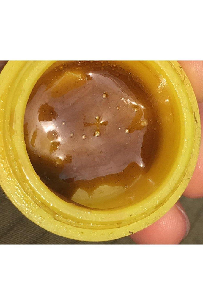 Zamaldelica x Kali China - Mandala Seeds Shop Ace Seeds