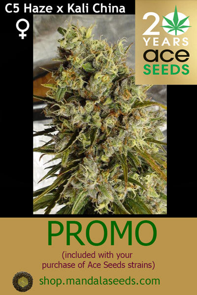 Ace Seeds FEM Promo