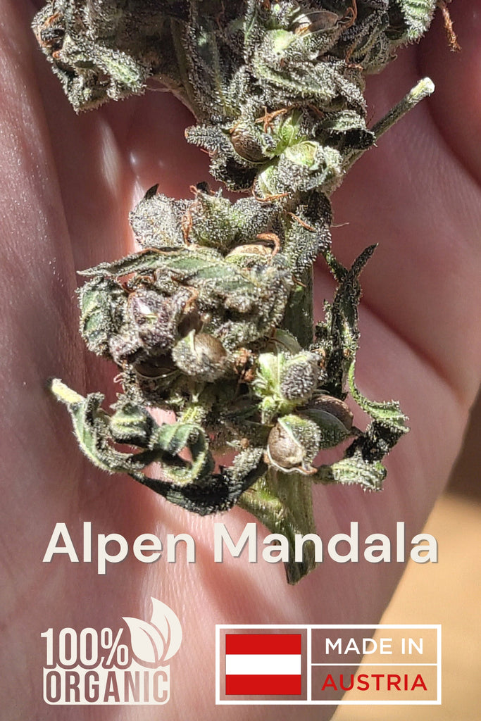 Alpen Mandala