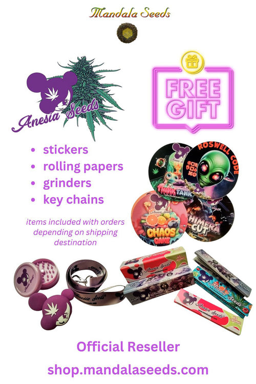 Anesia Seeds Free Gift