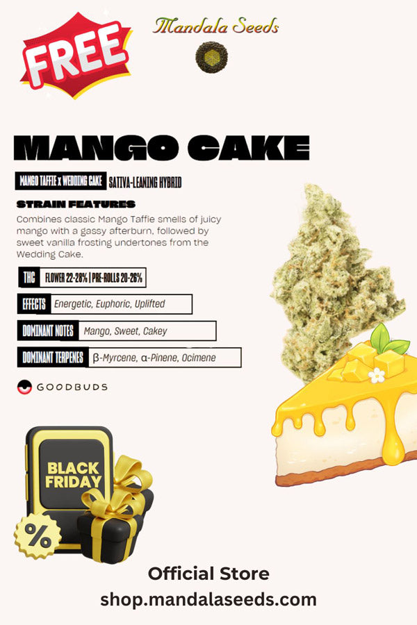 Black Friday Freebie