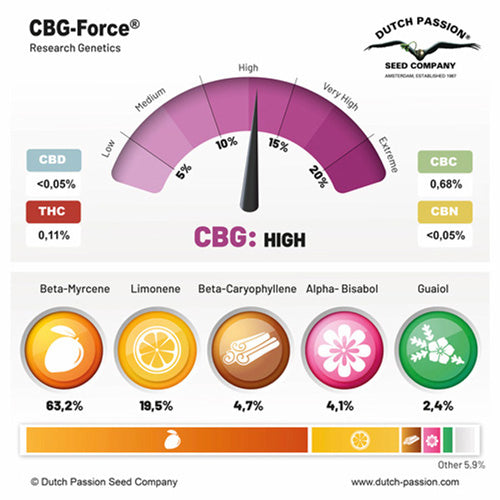 CBG-Force