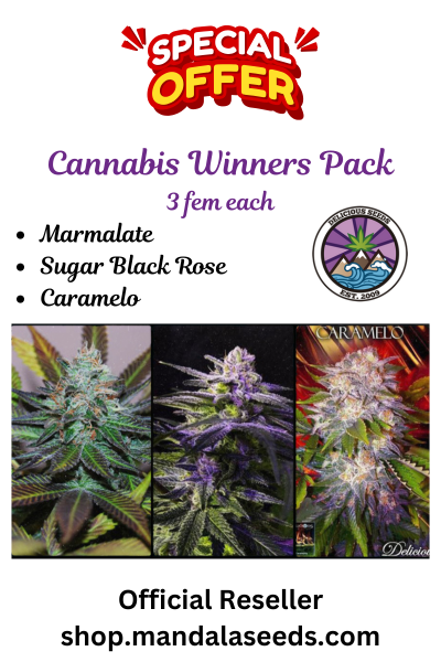 Cannabis Winners #1