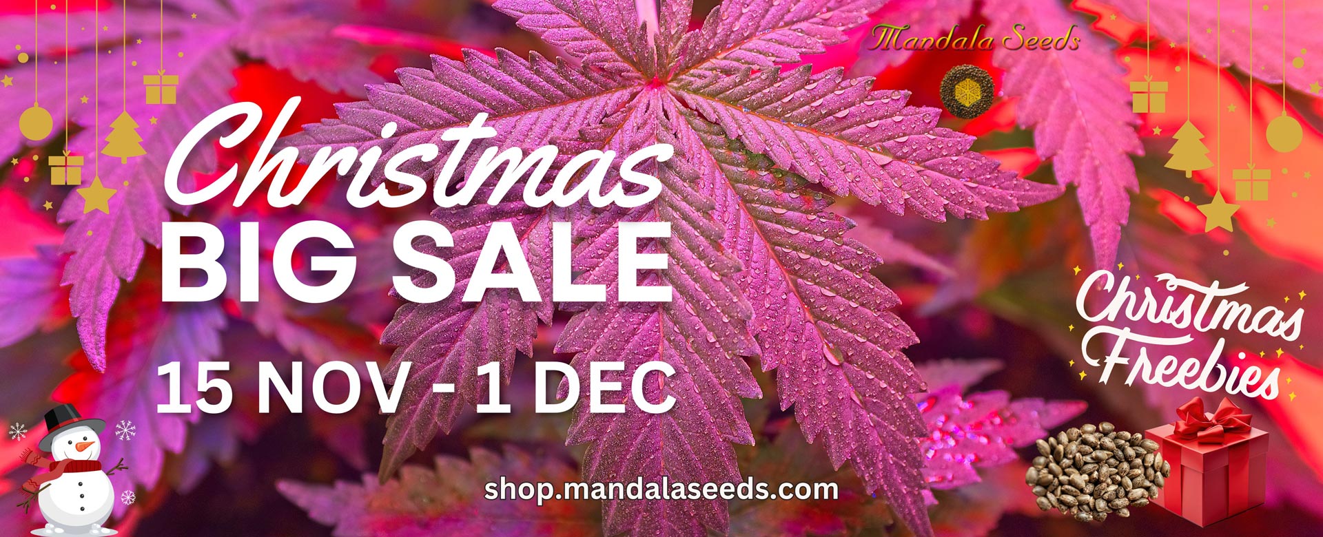 Mandala Seeds Shop