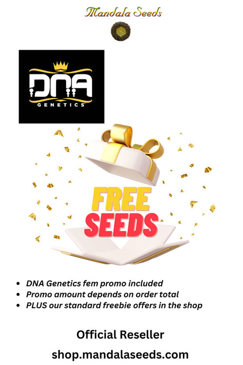 DNA Genetics Free Seeds